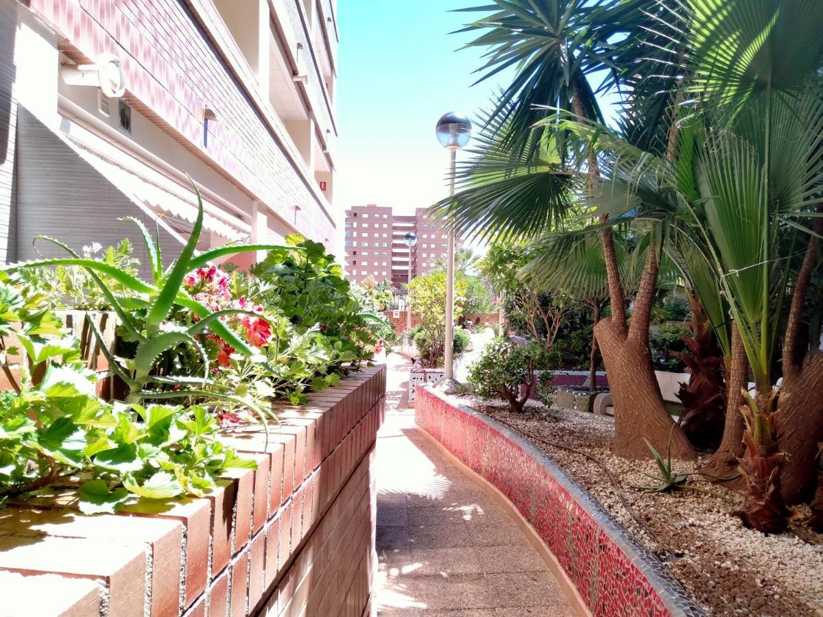 Acv - Playa Coral I-2ª Linea Planta 3 Norte Oropesa del Mar Εξωτερικό φωτογραφία
